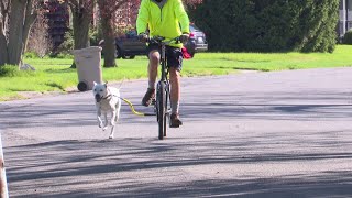 State police detail ‘alarming rise’ in the number of bicyclist deaths in Michigan