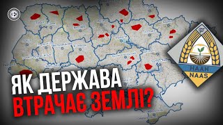 Депутати з "академіками" роками заробляли на державній землі десятки мільйонів доларів