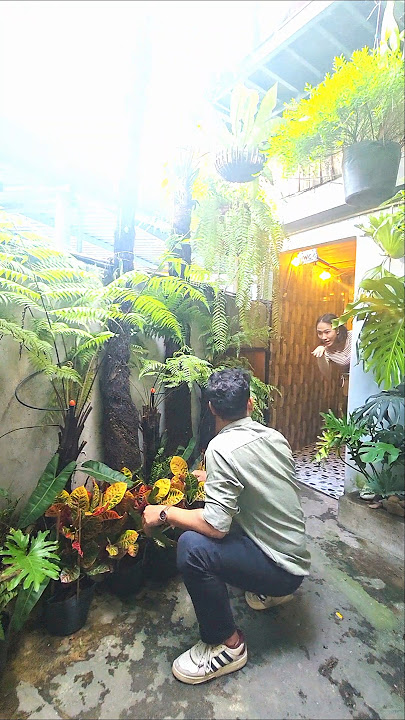 ca sĩ về làng 1267 | gái xinh rủ zề cho .. êm dữ trời #viralvideo #haihuoc #viral #xuhướng #giaitri