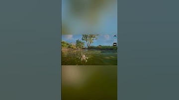 34 FISH WITH 1 ARROW QUICKEST WAY TO FISH IN ACVALHALLA #shorts #shortsvideo #shortsfeed #youtube