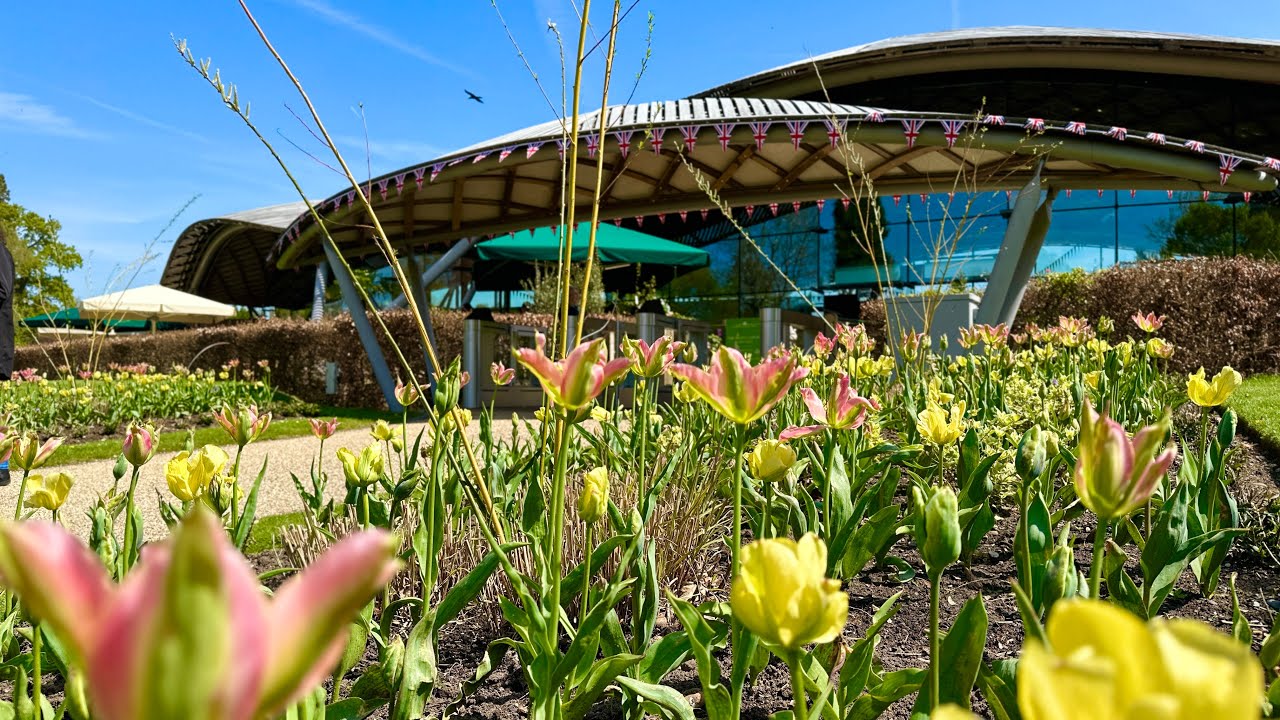 Spring's Symphony Unveiled: Dive into The Savill Garden, Crown Jewel of Britain's Blooming Beauty