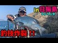 日振島でのグレ釣りでトーナメンターの釣技炸裂！？