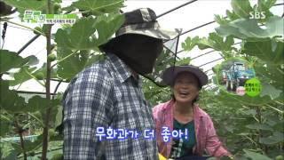SBS 생방송투데이 1037회 #6(10)