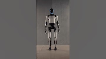 Get Ready: Tesla Robots Are Here!