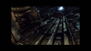 tomb raider stupid girls