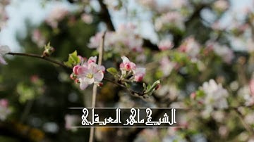 112 - الشيخ ماهر المعيقلي - سورة الاخلاص - 1080 HD