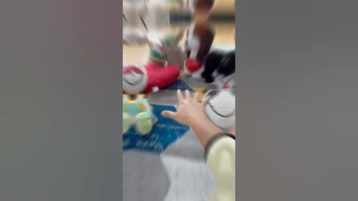 Watch the video about In a moment it could all 😩 #kikicutekitty #fyp #scottishfold #relatable #transition #kitten #cat