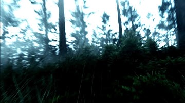 ARMA 2 - Comrades in Arms - Max Richter Infra 4 - Music Video