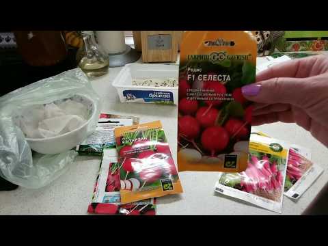 Готовимся сеять ПРЯНЫЕ ТРАВЫ, РЕДИС, САЛАТ в теплицу .