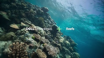 Dell Technologies + Reefs (Solutions for Scale)