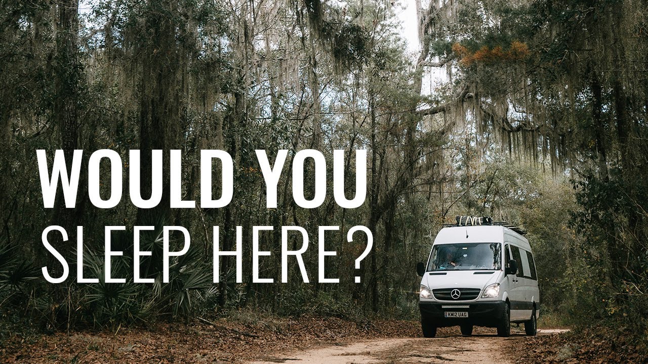 Strange Noises in the Swamps of Georgia (East Coast USA Road Trip)