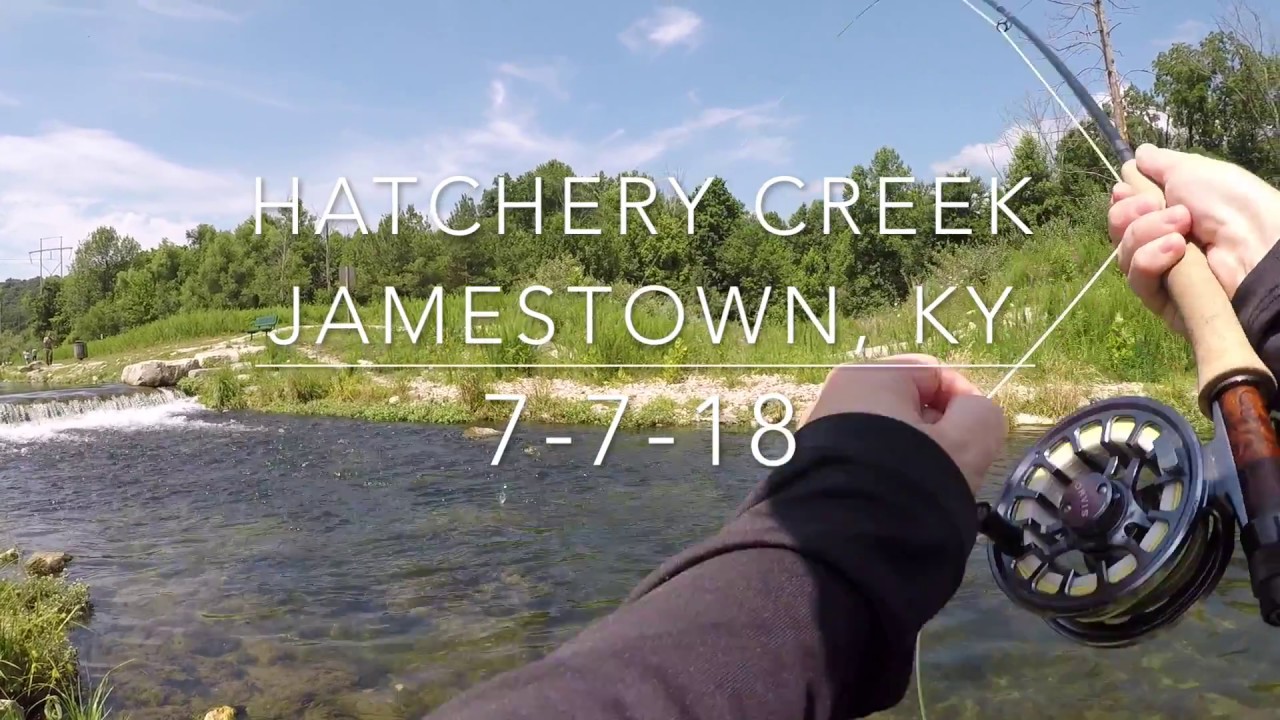 Fly Fishing Hatchery Creek KY YouTube