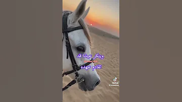 وما كل من تهواه يهواك قلبه 