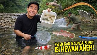 SESER IKAN DI SUNGAI SURUT ISI HEWAN ANEH! CUMAN ADA DISINI?!