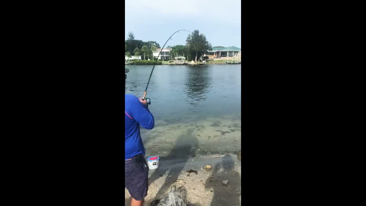 Nokomis, Florida Fishing