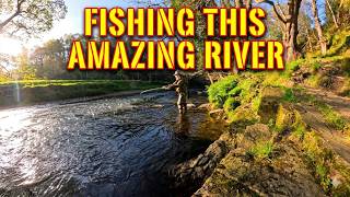 Fishing this AMAZING River for TROUT
