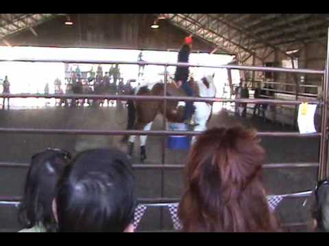 "How To Make Your Horse Love Barrels" - Charmayne ...