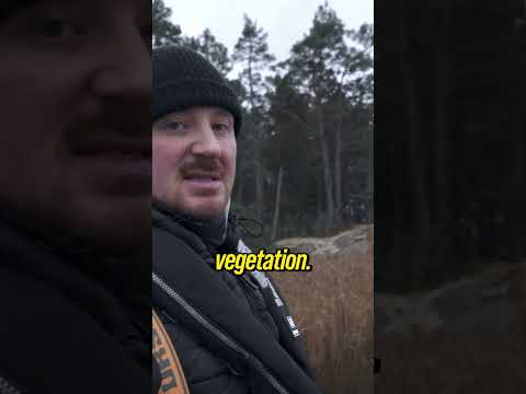 Så fiskar du