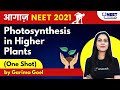 NEET Toppers: Photosynthesis in Higher Plants | One-Shot | आगाज़ | NEET 2021 | Garima Goel