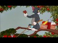 Tom And Jerry Barbecue Brawl 1956