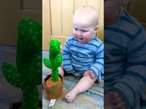Cute babies playing with dancing 🌵@wow baby  bubble #shorts #shortsvideo #funnybaby