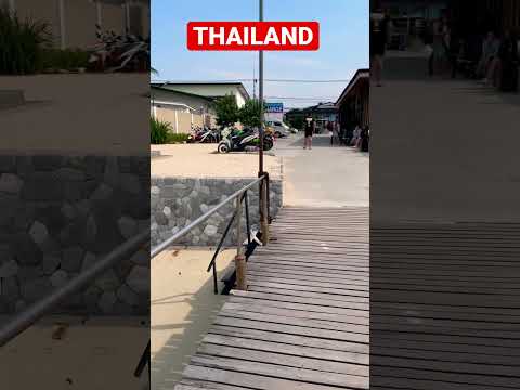 Koh Samui Thailand Paradise Haad Rin Pier #shorts