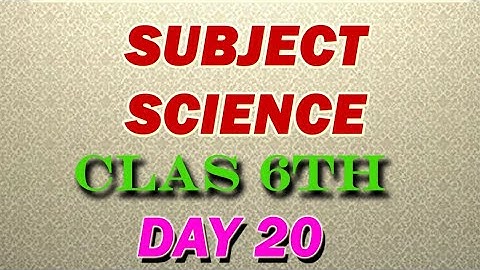 class 6/science/day 20/activity sheet 20/English medium/semi English/bridge course/2022-23/answer