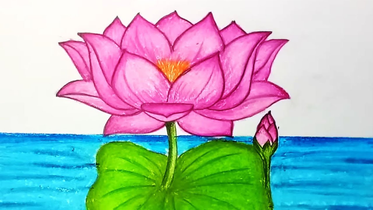 How To Draw Lotus Flower.Step By Step Easy Draw For Children, Kids,  Beginners. - Youtube