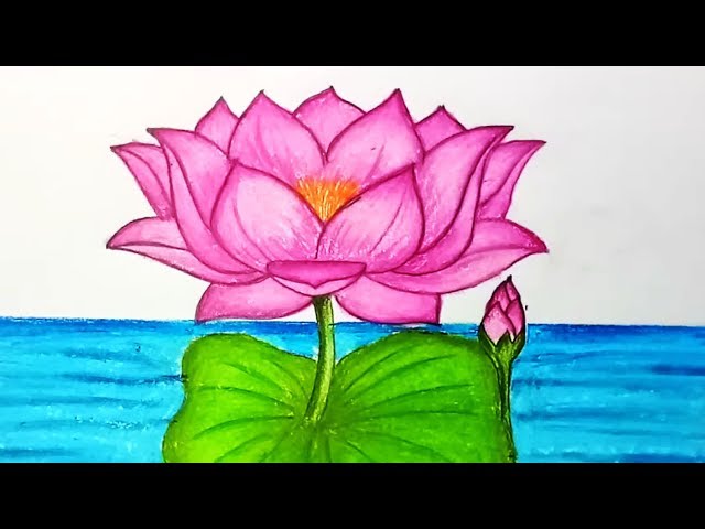 14,000+ Lotus Flower Drawing Stock Illustrations, Royalty-Free Vector  Graphics & Clip Art - iStock | Lotus flowers