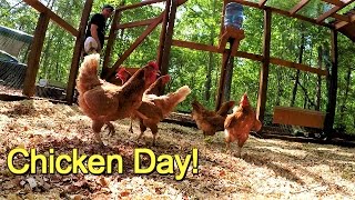 Chicken Day! Tour of the chicken coop and first day owning chickens