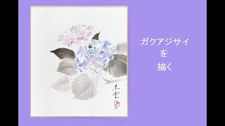 Sumi-e ガクアジサイ   Hydrangea　小林東雲