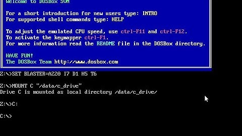 How to fix dosbox black screen