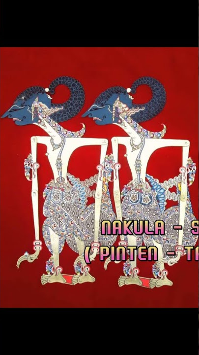 KSATRIA PUTIH #wayang #wayangkulit #wayangpurwa #indonesia #jawa #pandawa #shorts