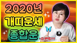 [타로카드] 2020년 개띠 종합운세  연애/직장/사업/재물/대인/수호신/처신법