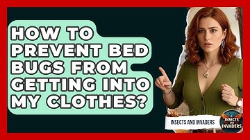 How To Prevent Bed Bugs From Getting Into My Clothes? - Insects and Invaders