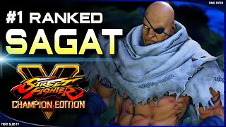 Tsune (Sagat) ➤ Street Fighter V Champion Edition • SFV CE