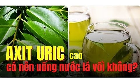 Axit uric cao và công dụng từ lá vối | Báo Lao Động