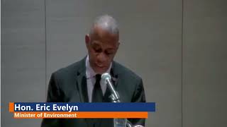 CORVI - Basseterre Stakeholder Consultation Highlight - February 10, 2022