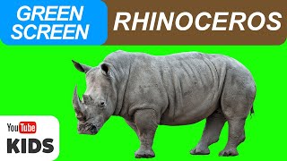 Rhino Rhino Green Screen And Sound Effect Free Rhino Sound Effect Green Screen Kids