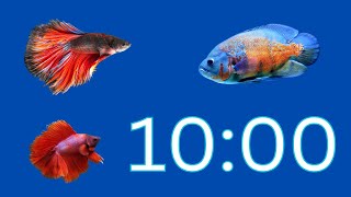 10 minute timer with music for classroom | Fish