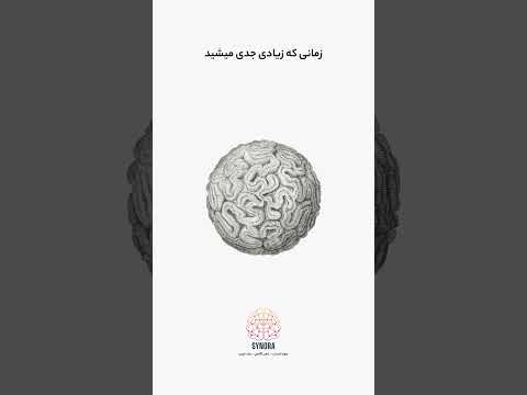اگر زندگی رو زیاد جدی بگیرید مغزتون کم هوش تر میشه روانشناسی دانستنی پیشرفت تمرکز آموزش ذهن