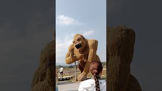 Download Lagu King Kong family in Thailand MP3 Download Lagu King Kong family in Thailand MP3