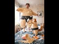 pillow fight, sumo cat, on the bed
