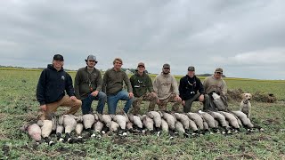 Minnesota Early Goose Pea Field Smash (We Shot A Band!) by Jacob Sweere 2,058 views 8 months ago 14 minutes, 6 seconds