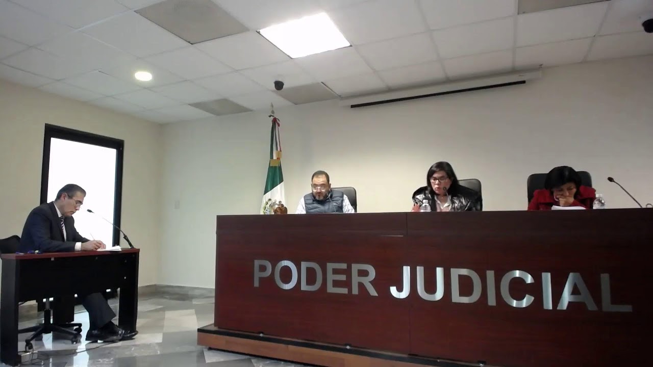 Sesión de Pleno, 27 de enero de 2025