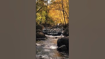 سورة فصّلت بصوت الشّيخ ماهر المعيقلى