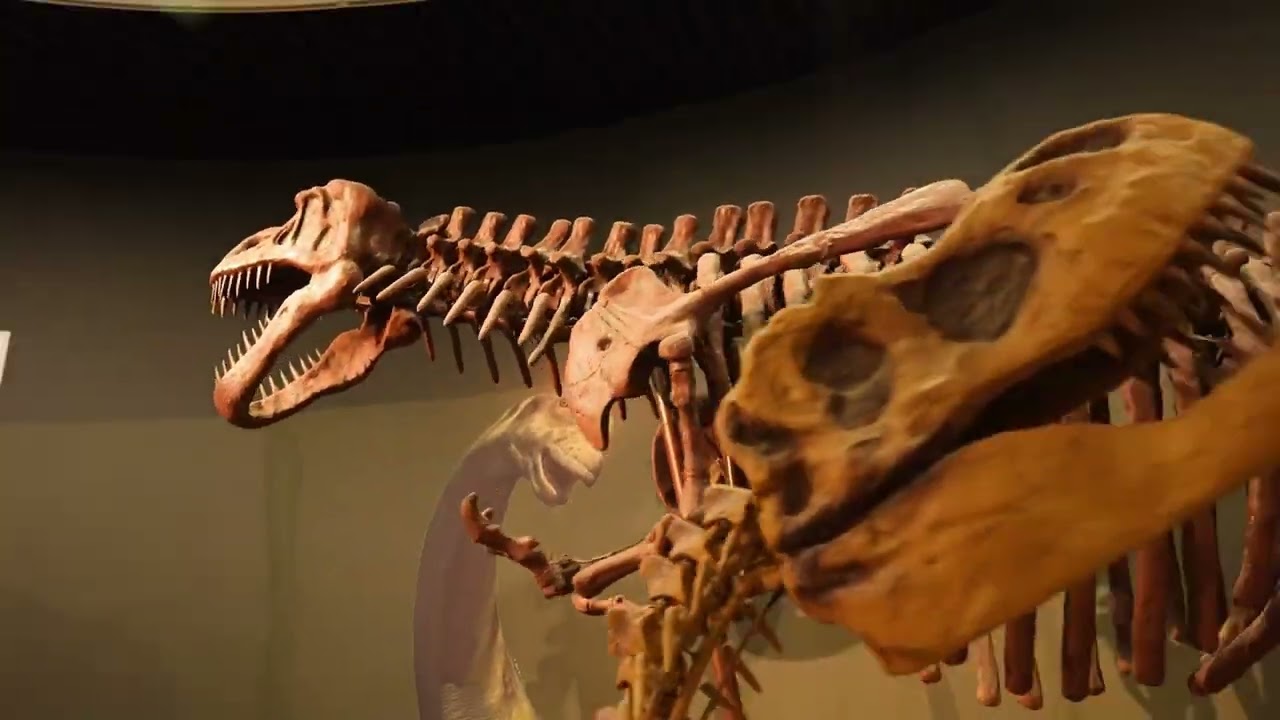 Traveling with the dargon boat race, Traveling with Ice Dragon Boat Super League, We came to Karamay