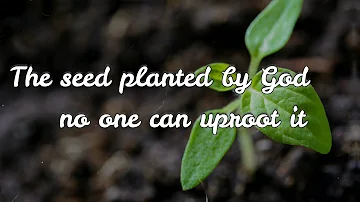 THE SEED PLANTED BY GOD, NO ONE CAN UPROOT