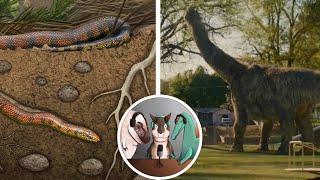 New Prehistoric Snake & Feathered Sauropods!