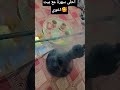 احلى سهرة مع بيت اخوي 
